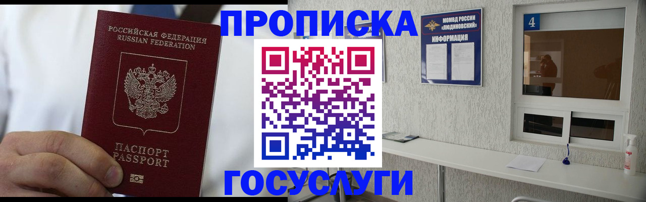 пропишу в квартире в Райчихинске